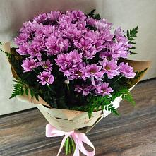 Букет цветов из:  Хризантемы #REPLACE_PRED# Саперное